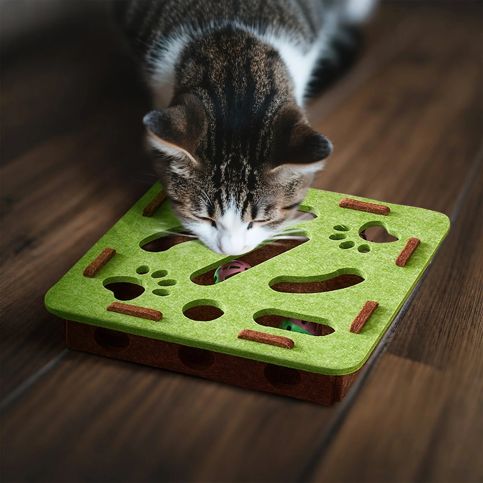 Cat Scratch Puzzle Enrichment Box