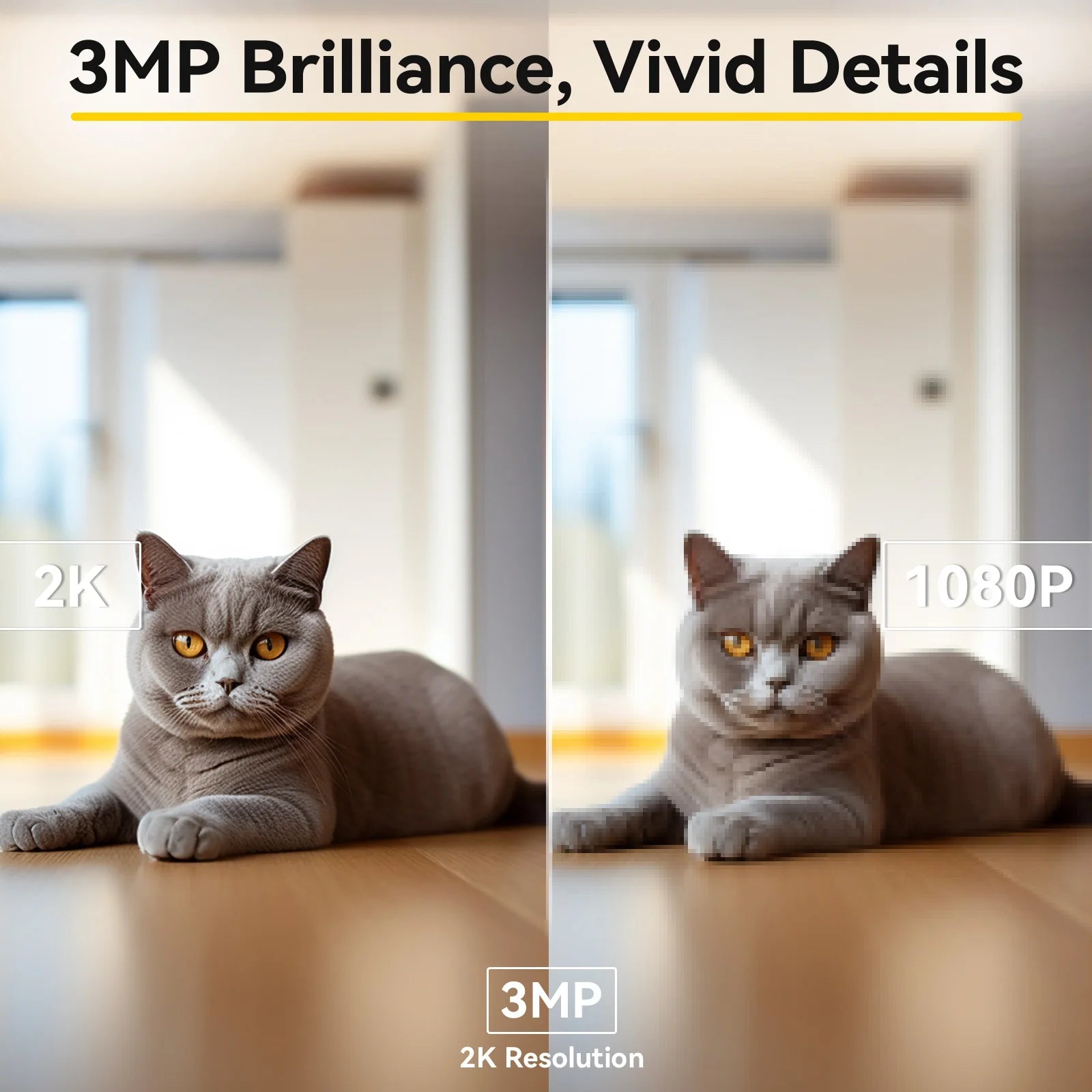 2K Pet Dog Camera with Phone App