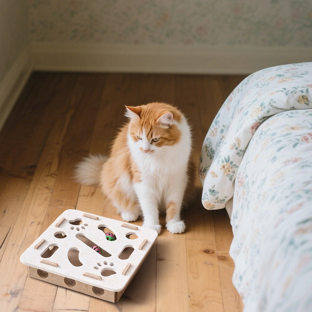 Cat Scratch Puzzle Enrichment Box