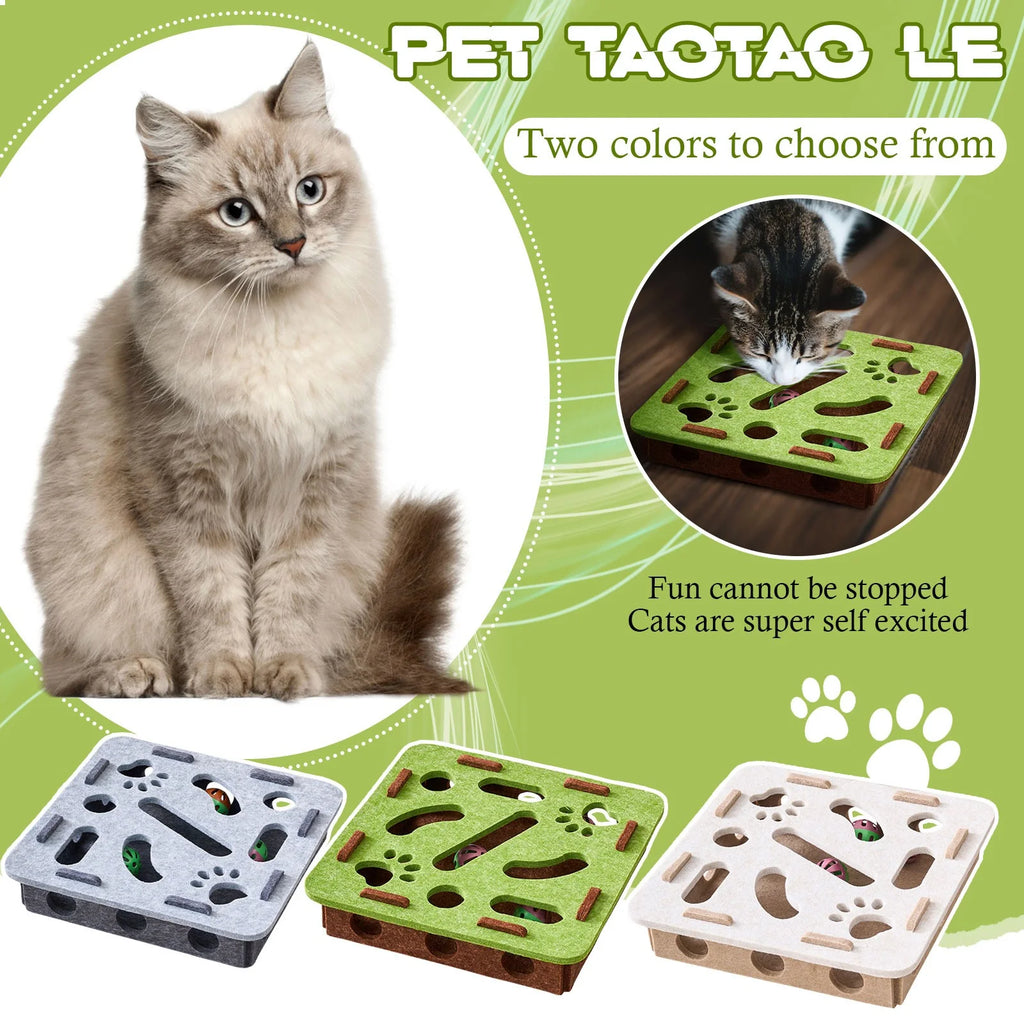 Cat Scratch Puzzle Enrichment Box
