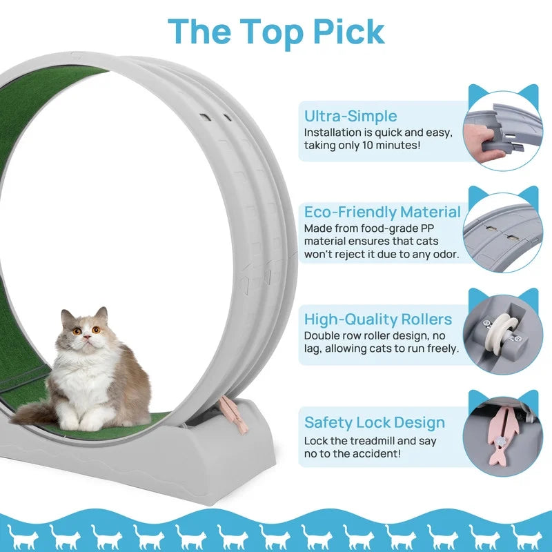 Cat Toy Running Wheel Treadmill with Detachable Carpet for Indoor Cats
