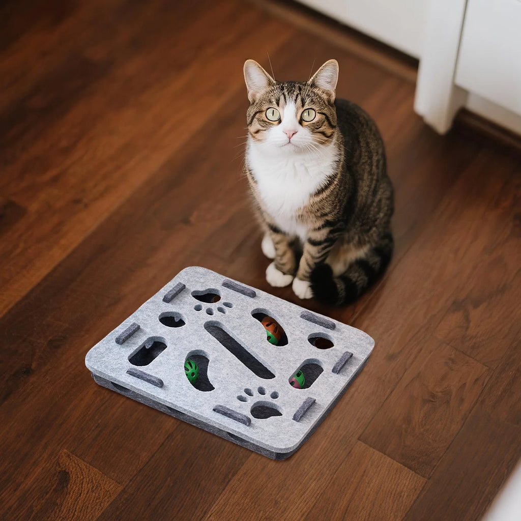 Cat Scratch Puzzle Enrichment Box