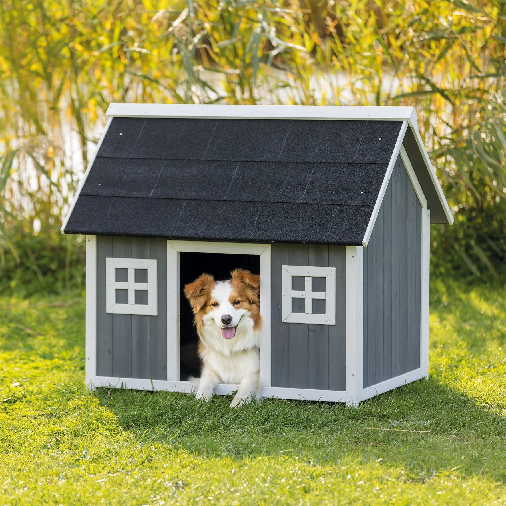 Natura Barn Style Dog House, Elevated Pet Shelter