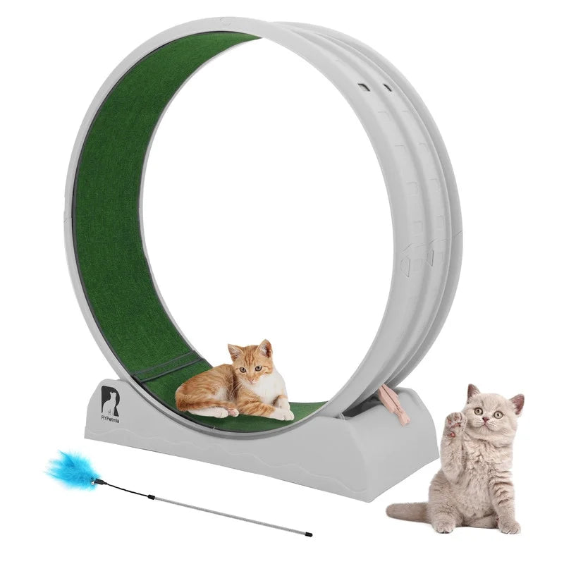 Cat Toy Running Wheel Treadmill with Detachable Carpet for Indoor Cats