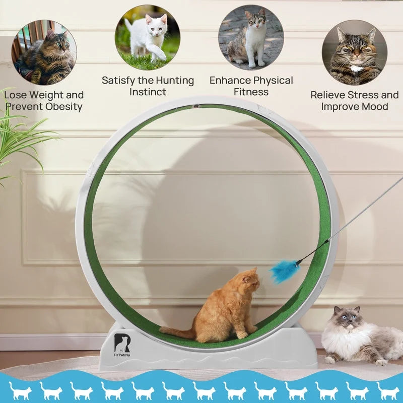 Cat Toy Running Wheel Treadmill with Detachable Carpet for Indoor Cats